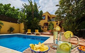 Finca Fenix